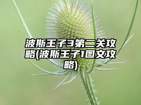 波斯王子3第二关攻略(波斯王子1图文攻略)