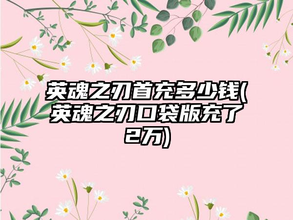 英魂之刃首充多少钱(英魂之刃口袋版充了2万)
