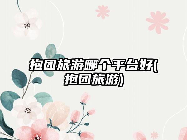 抱团旅游哪个平台好(抱团旅游)