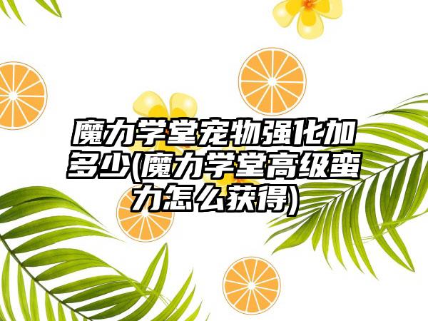魔力学堂宠物强化加多少(魔力学堂高级蛮力怎么获得)