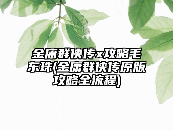金庸群侠传x攻略毛东珠(金庸群侠传原版攻略全流程)