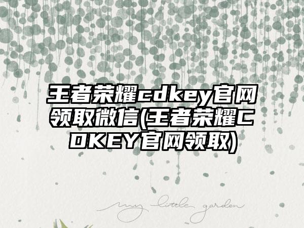 王者荣耀cdkeypg网赌软件官网领取微信(王者荣耀cdkeypg网赌软件官网领取)